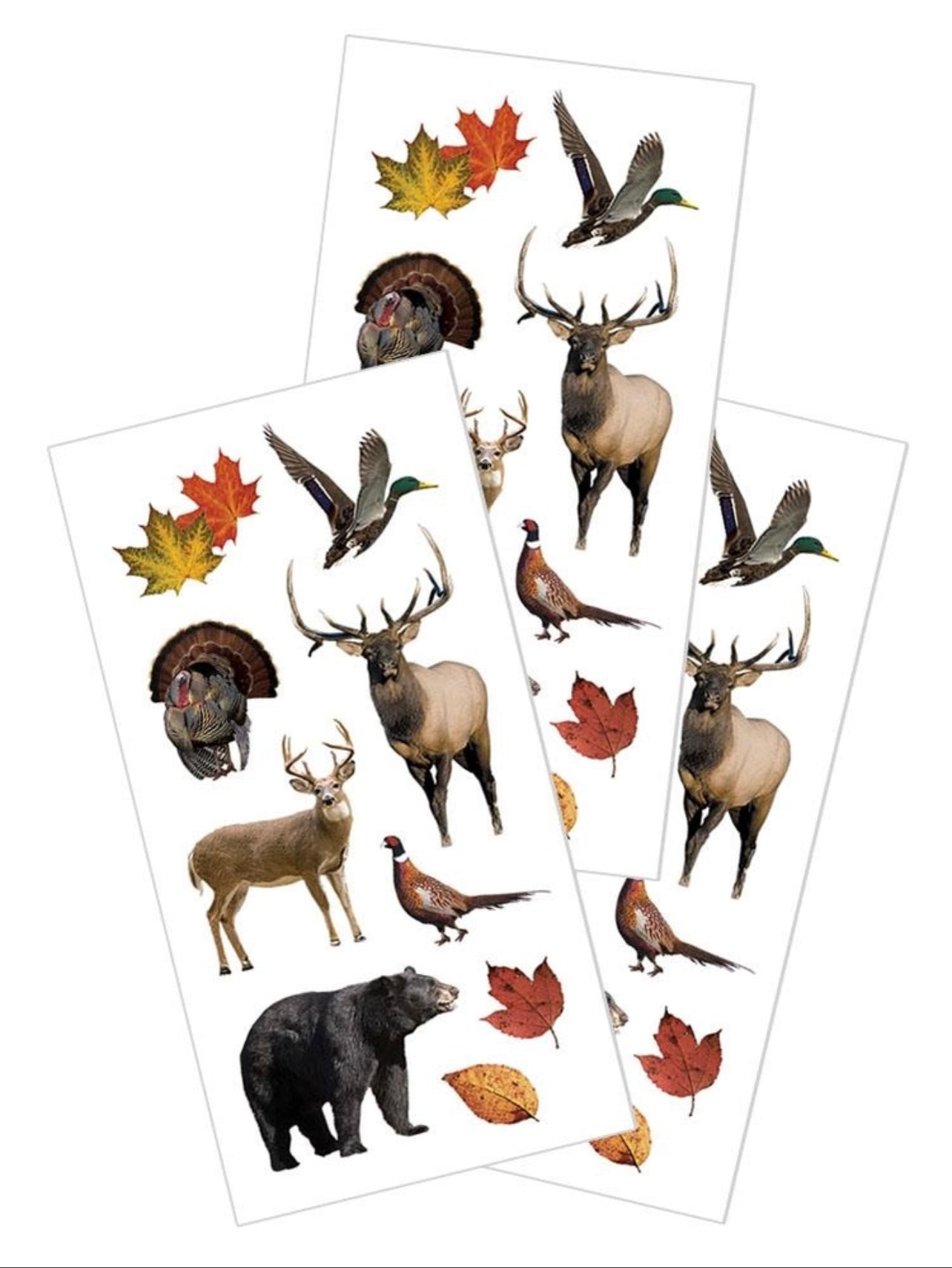 Wild Life Stickers